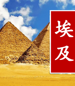 南京大学埃及商务考察之旅